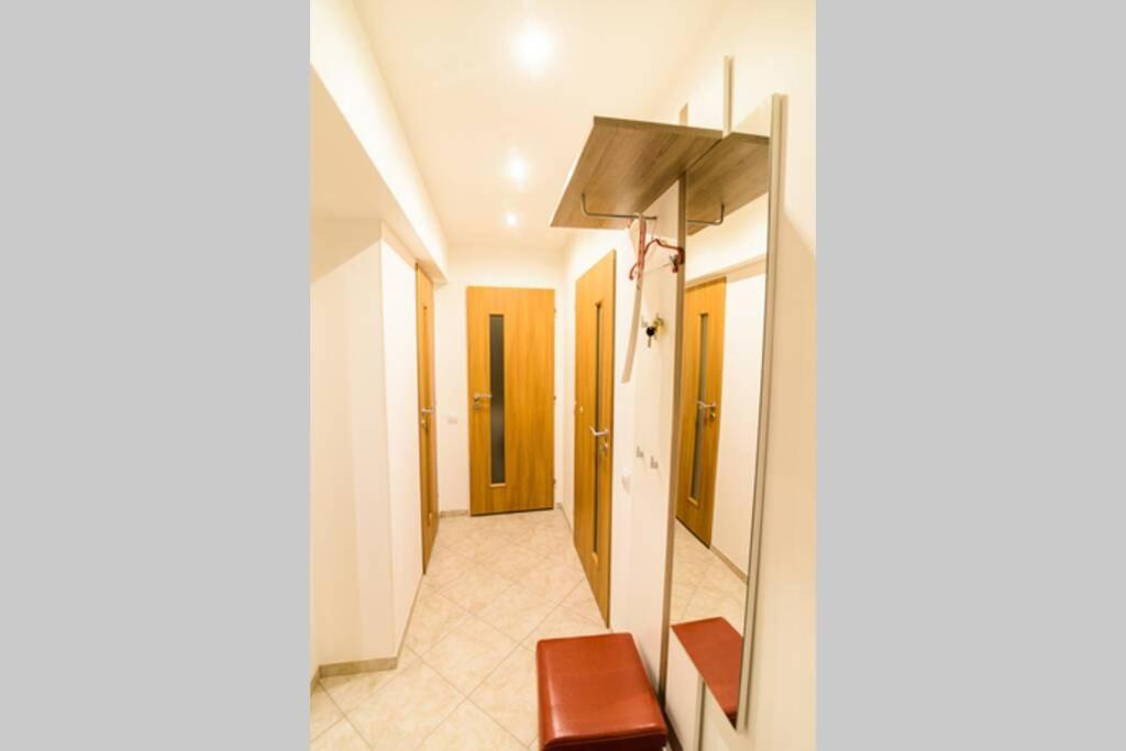 You Will Be Hosted And Welcomed by a Painter. 2