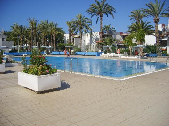 Nice & Quiet Apartment Tenerife South 1