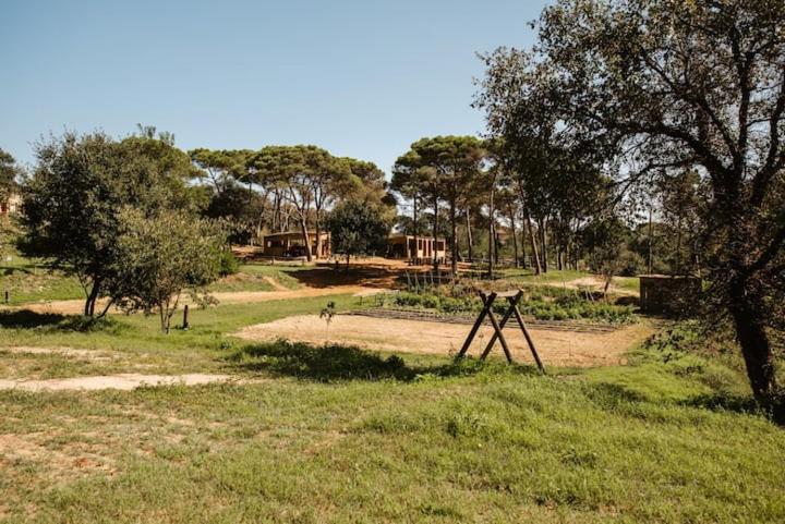 Las Acacias Casa Rural En El Campo 2