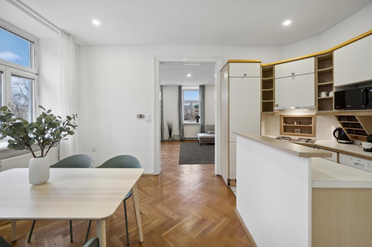 Big Spacious Central Apartment in Vienna