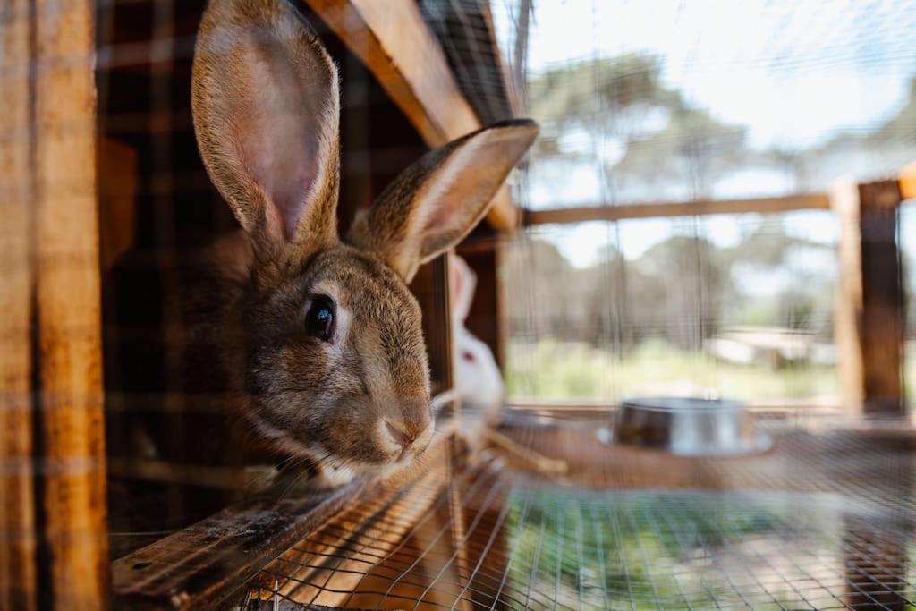 Las Hortensias Casa Rural En El Campo 2