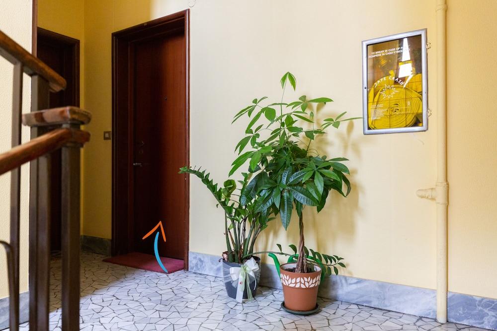 Notami Goodvibeshome 2