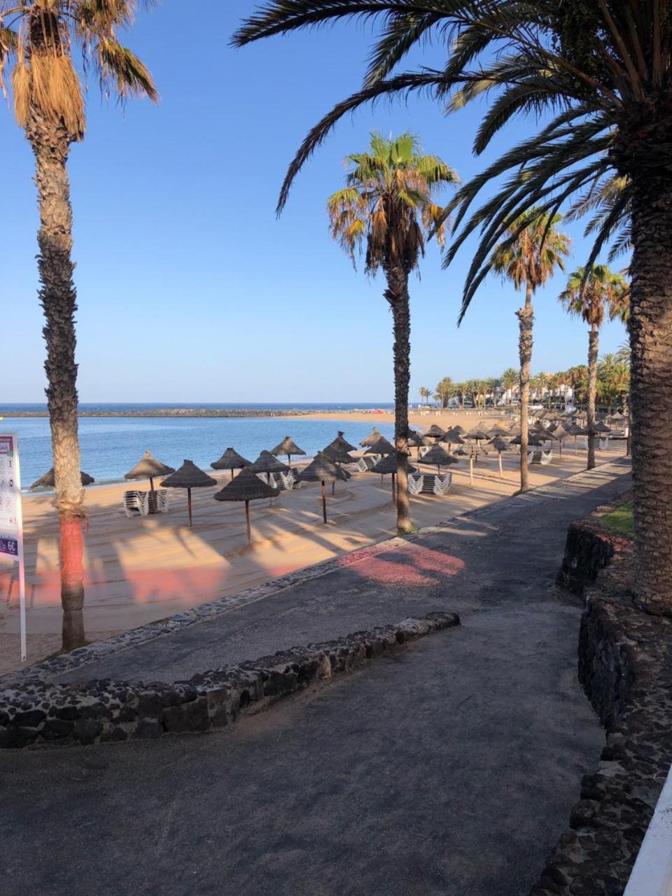 Go2tenerife Apart'marino Pool & Beach at 5 Min 2