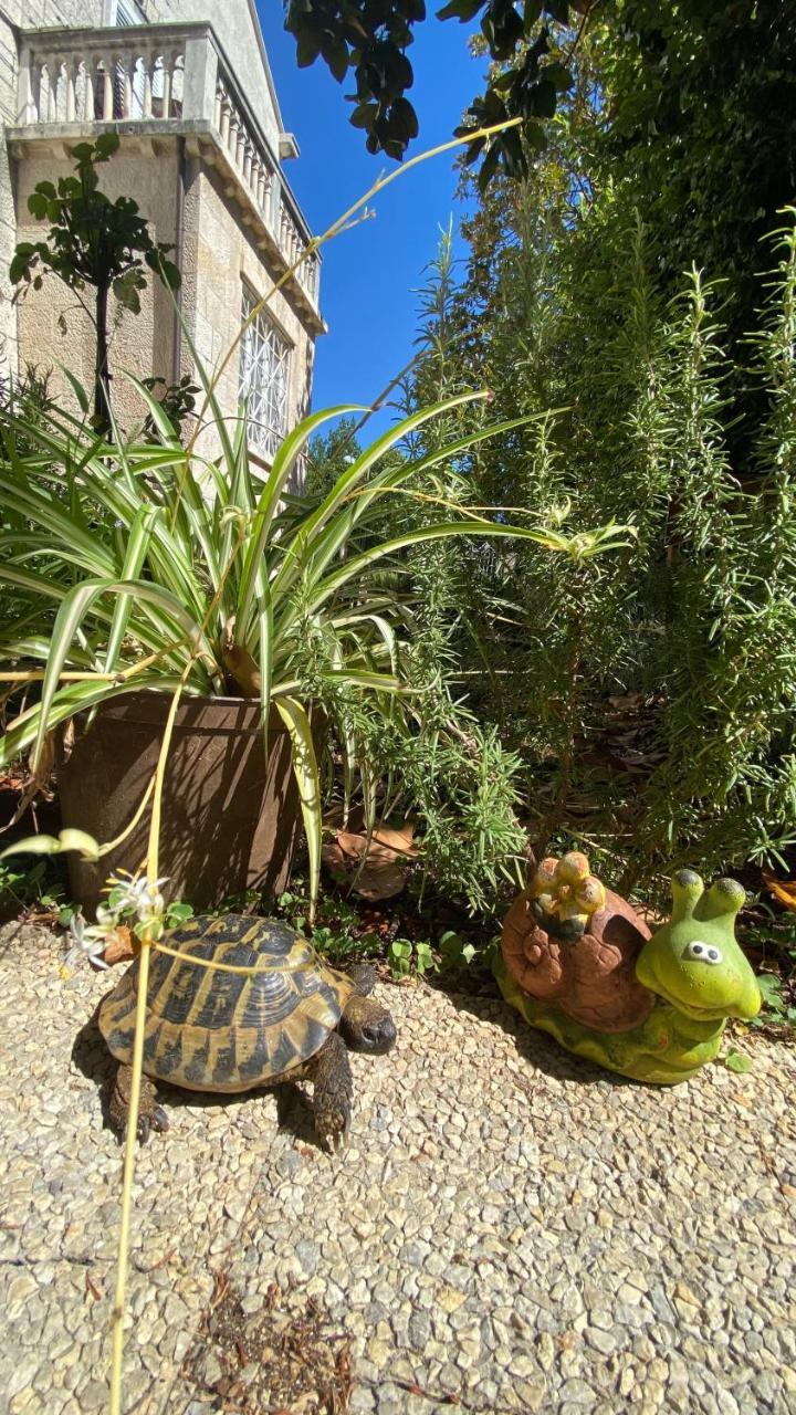 Villa Micika Dubrovnik 2