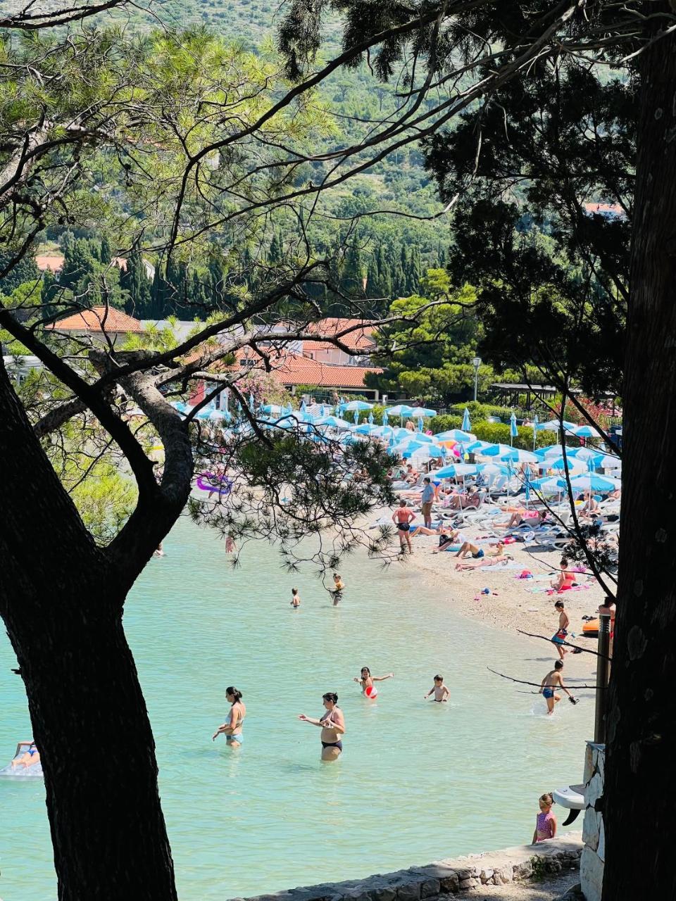 3 Bedrooms Family Apartment A&M Milicic Cavtat 2