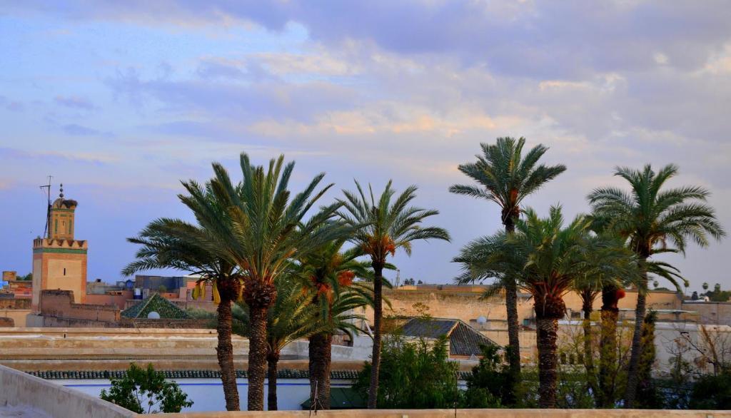 Riad SPA Le Secret de Zoraida 1