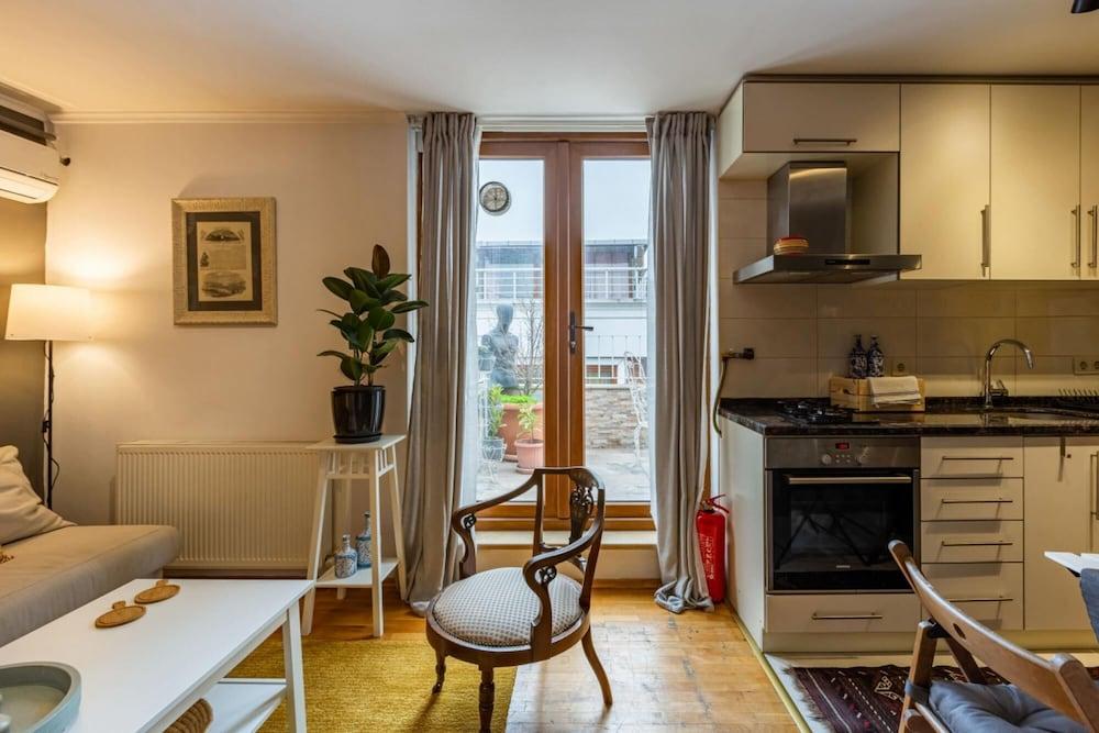 Splendid Flat with Terrace Near Istiklal Street 2