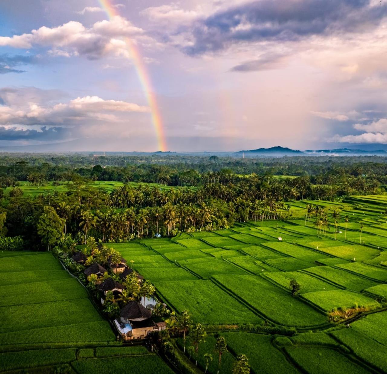 Padi Bali Eco Villas 1