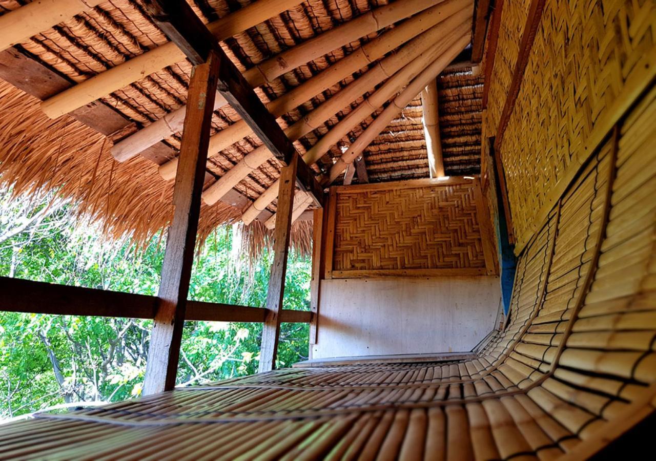 The Rabbit Tree Hostel 2