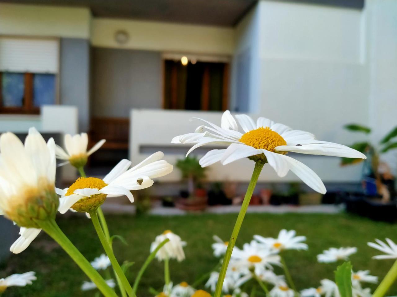 Appartamento Margherita