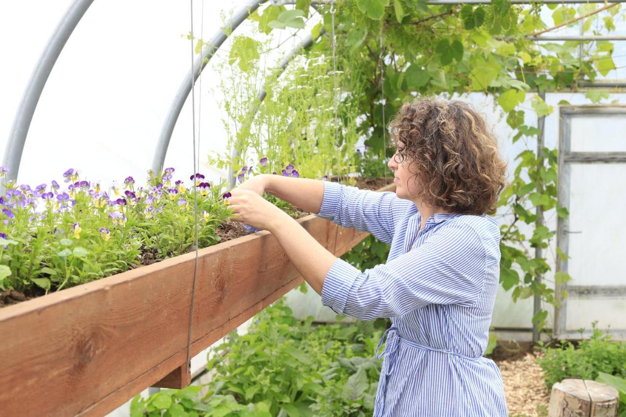 Moðir Jorð Organic Farm Guesthouse in Vallanes 2