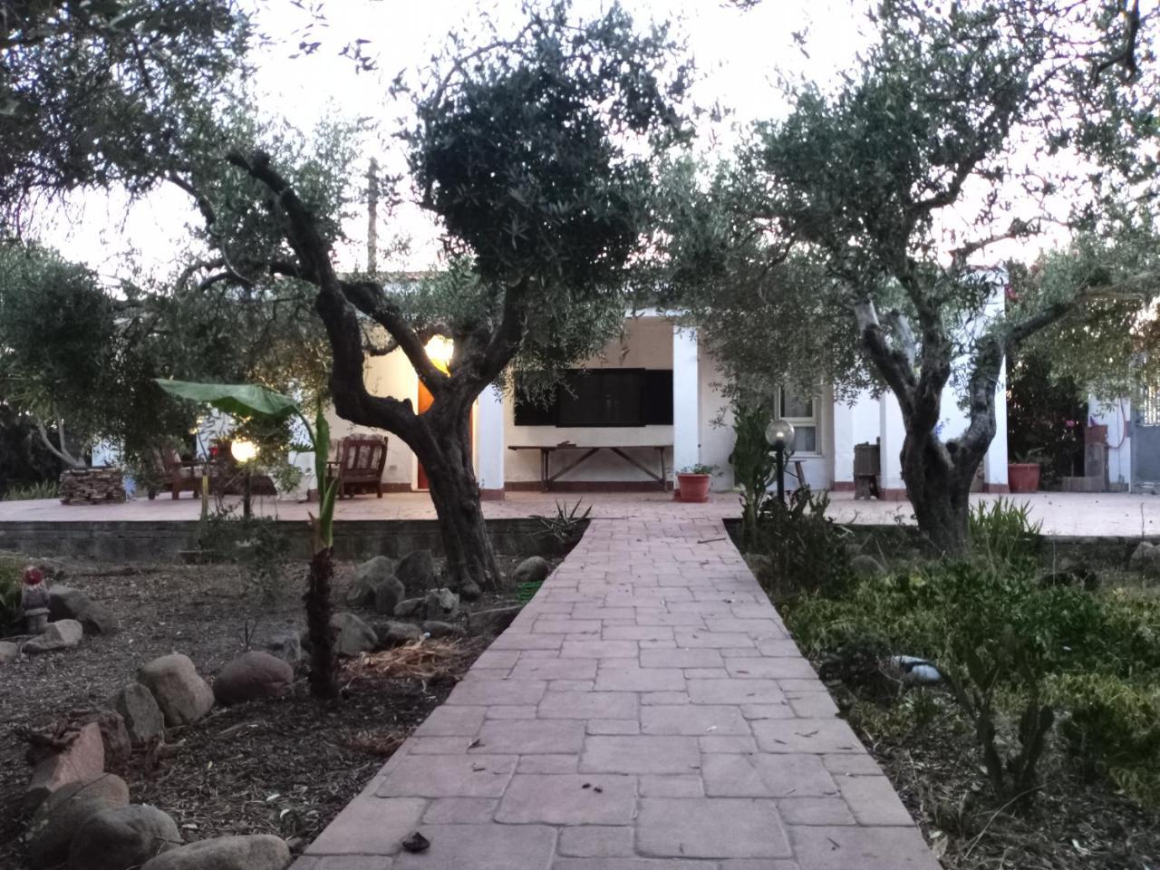 Casa Vacanze L'ulivo