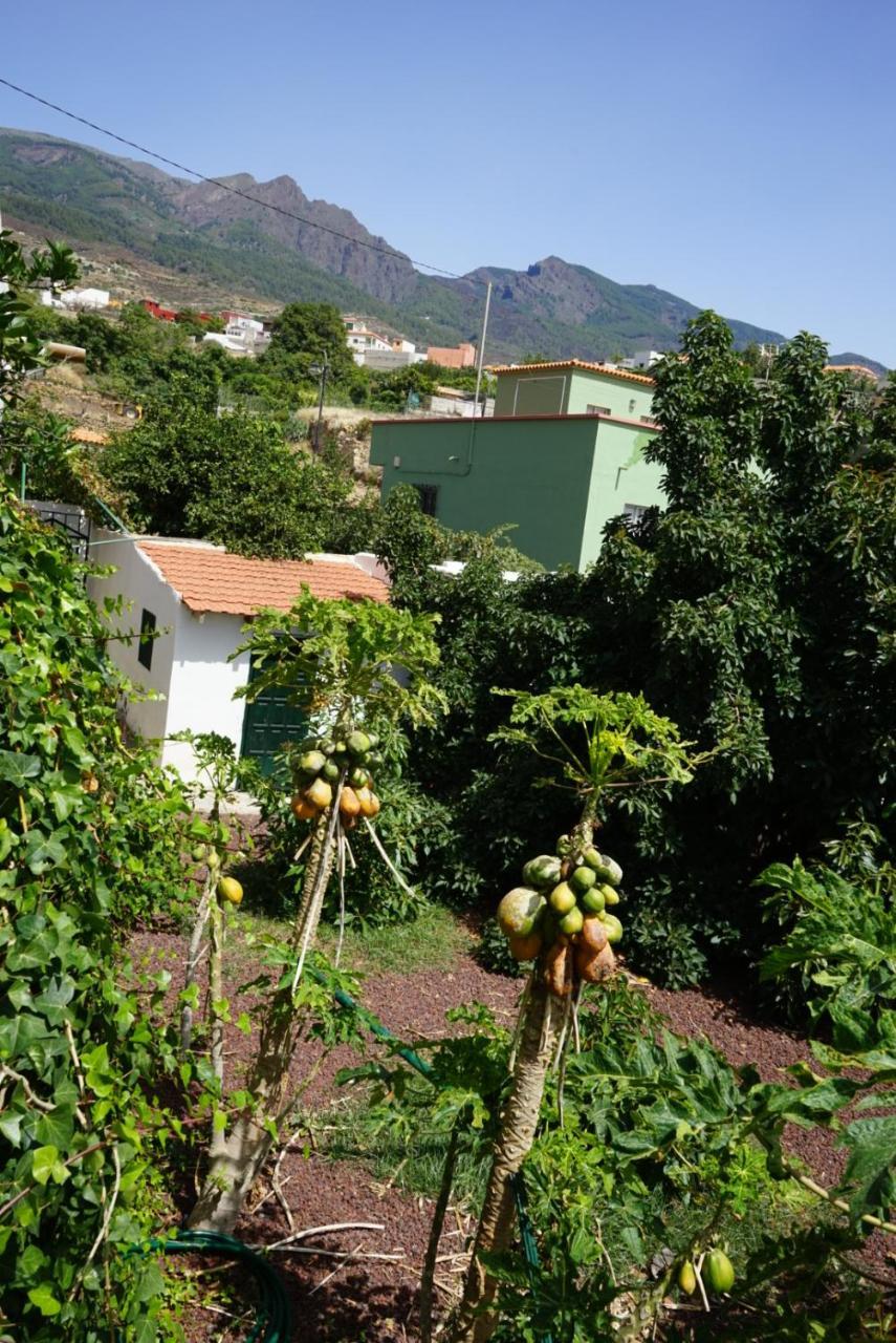 Casa Rural En Tenerife 1