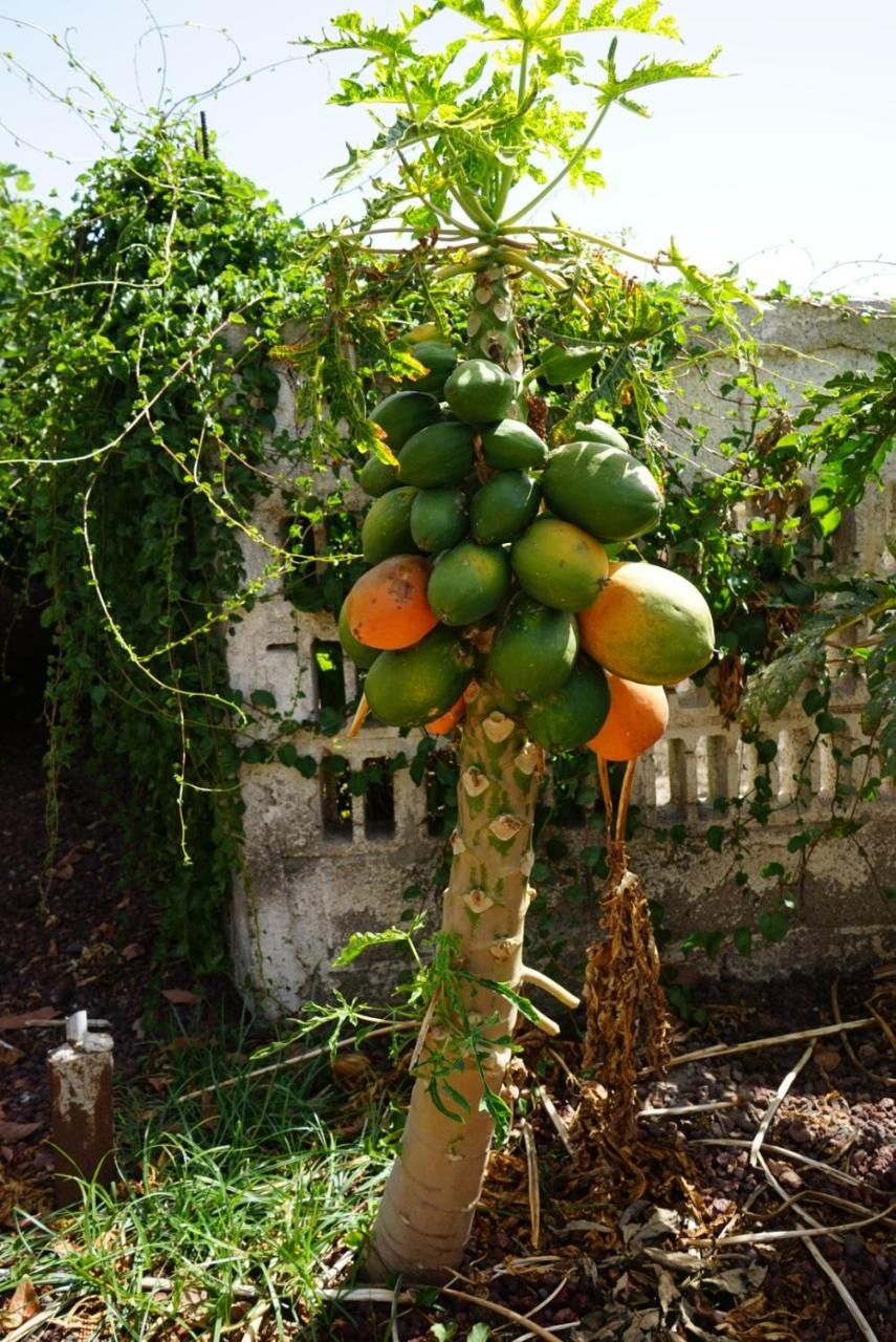 Casa Rural En Tenerife 2