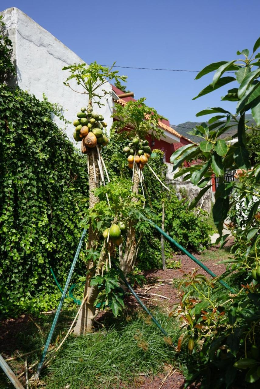 Casa Rural En Tenerife