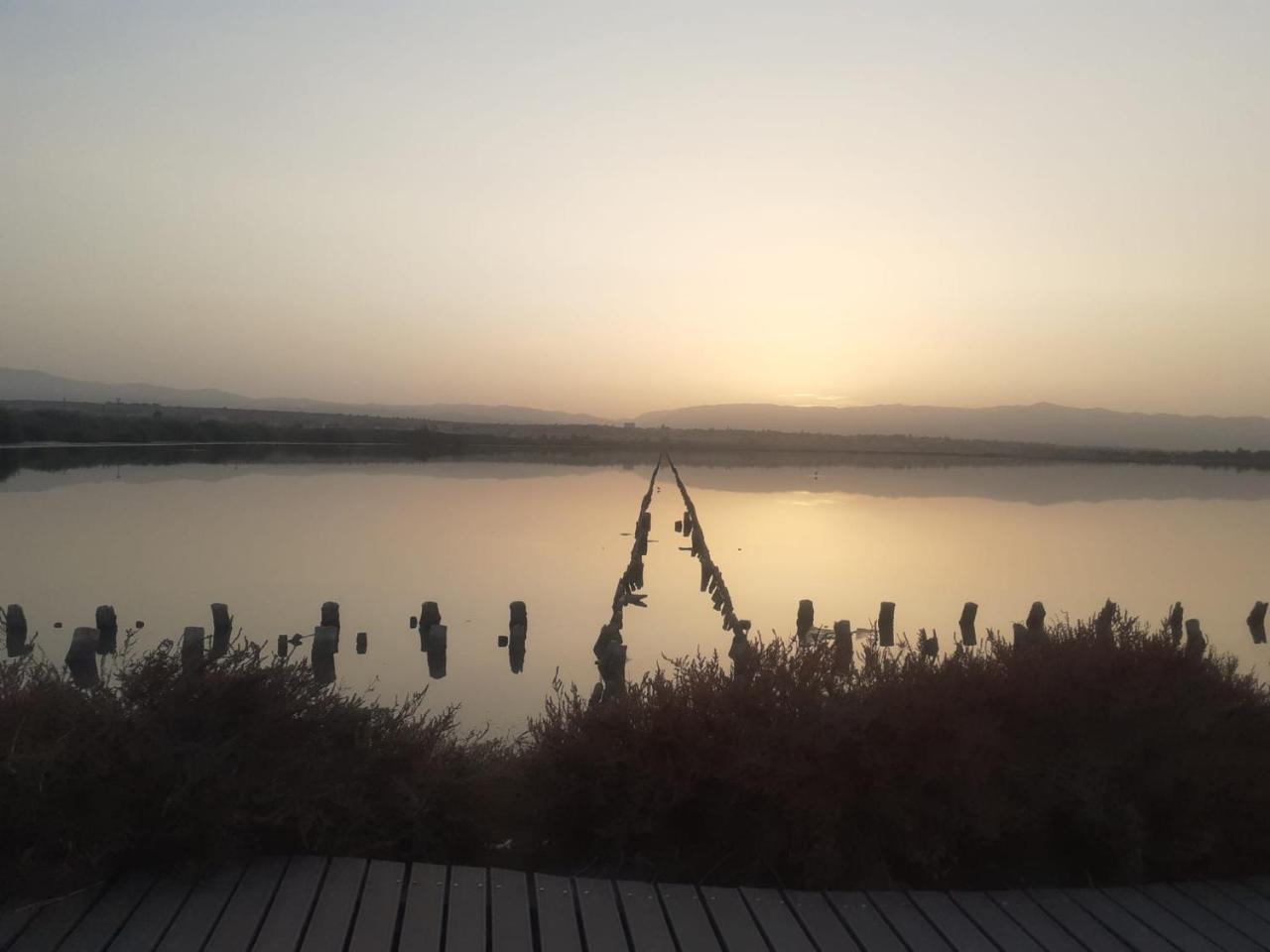 Sweetness Wave Home 1