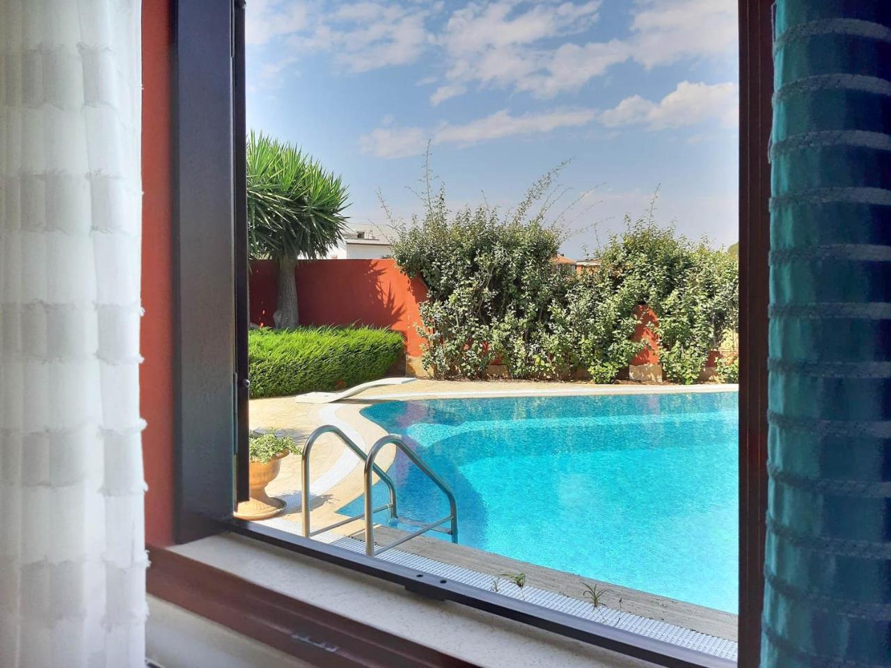 Stella (Adults Only) 1