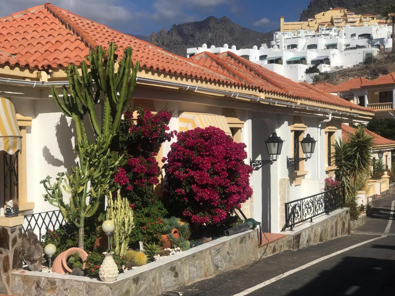 Amazing Apartment with Ocean View
