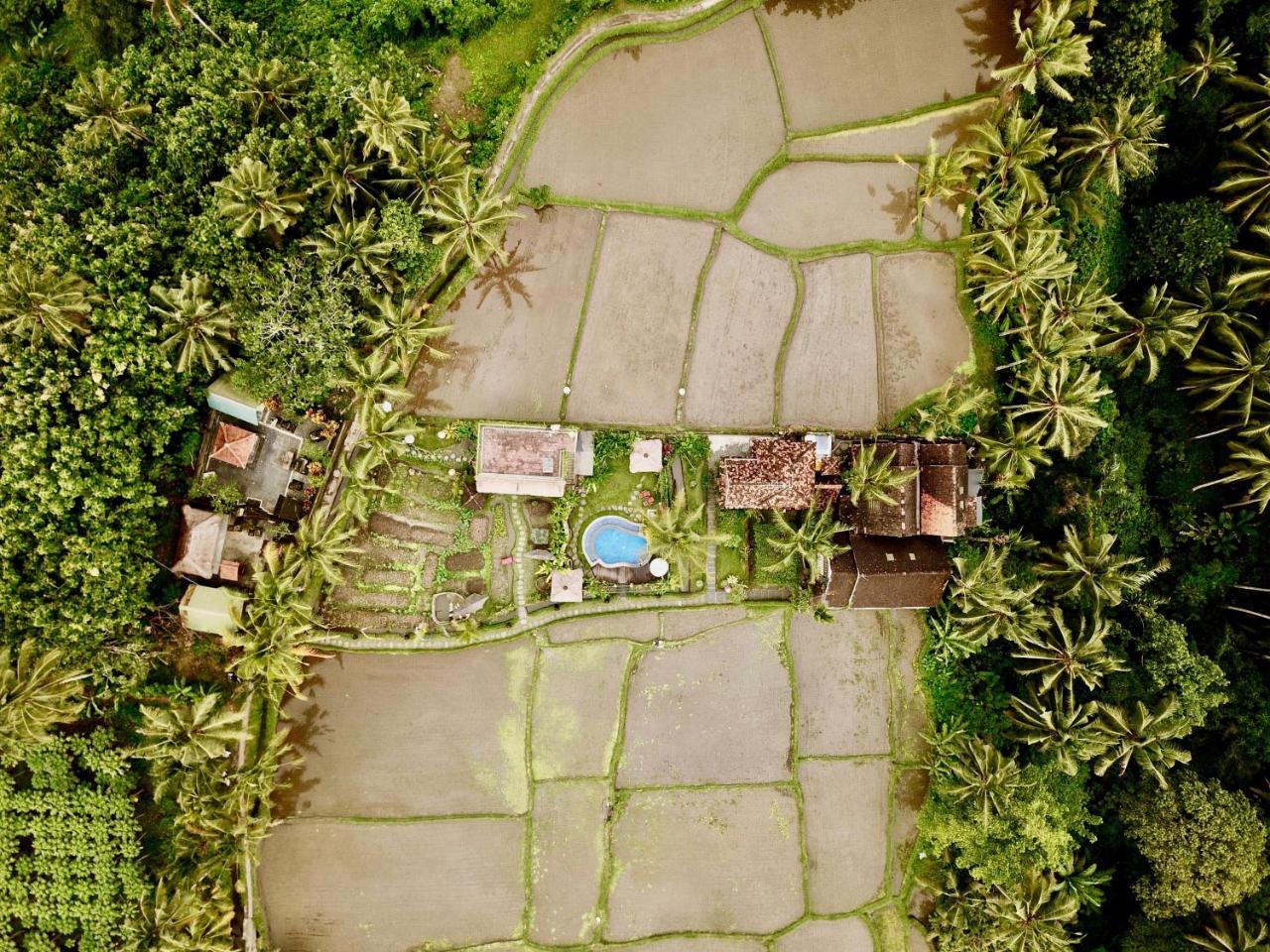 The Rice Joglo Eco-Stay