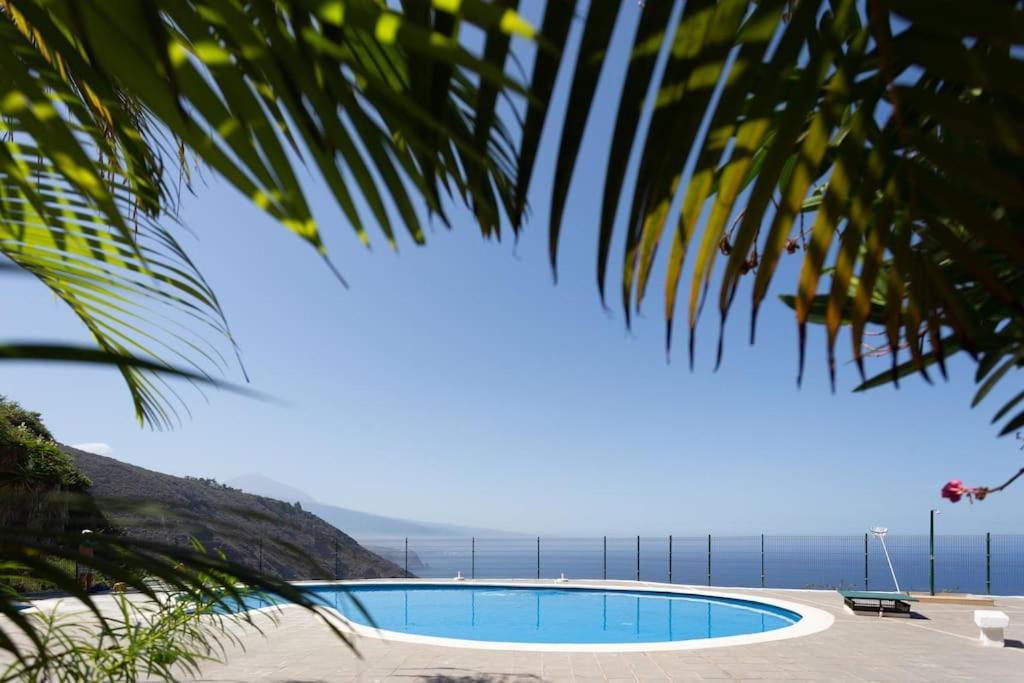 Toucan's Nest: Landing in Paradise 2