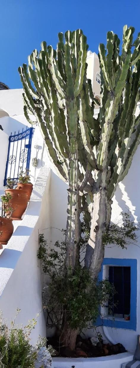 Cactus Cave House on the Caldera 2