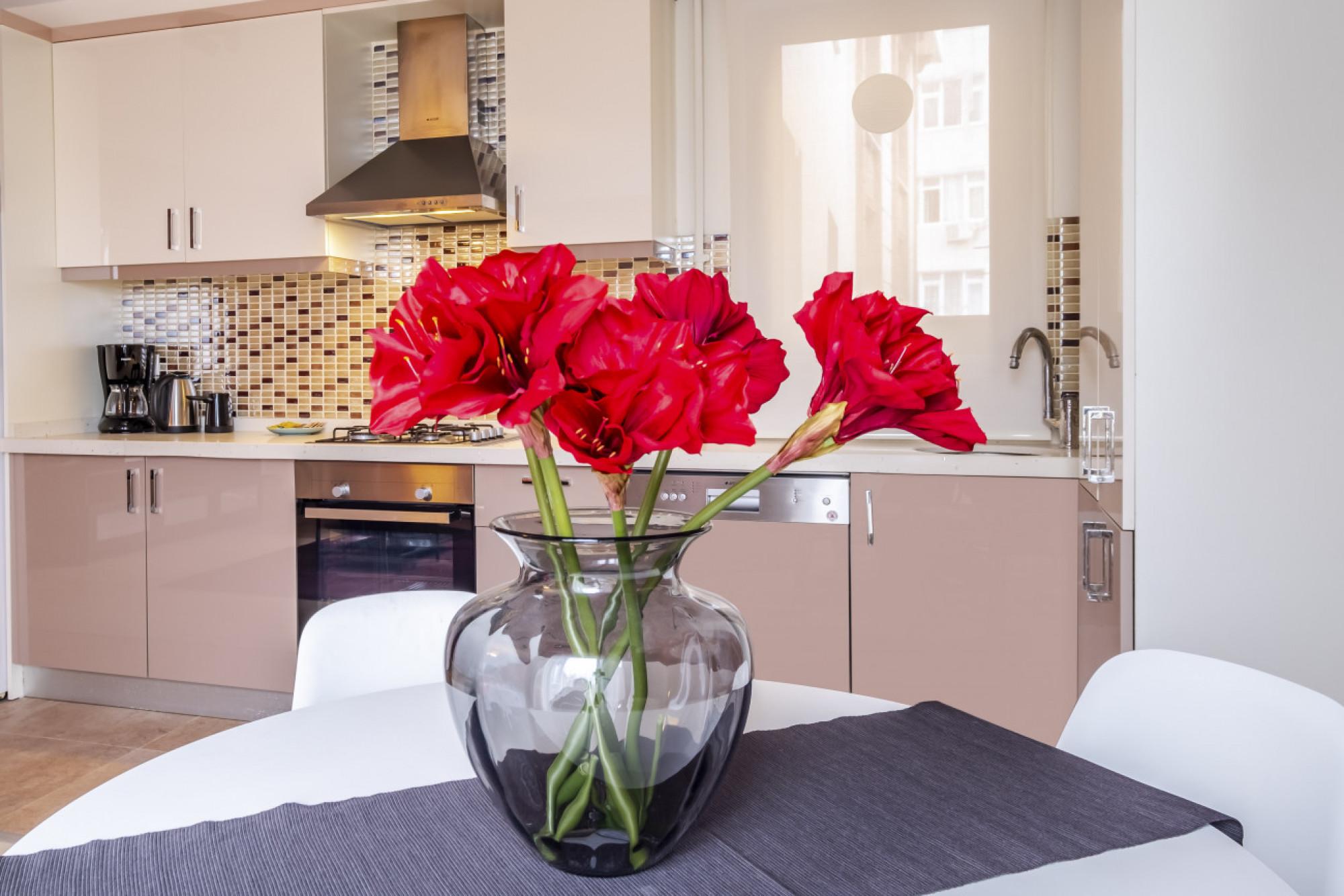 Refreshing Apartment in Beyoglu 1