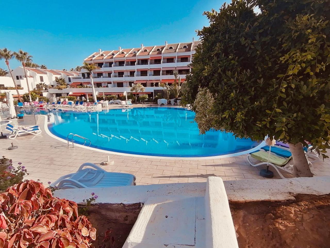 Americas Holiday Home 2