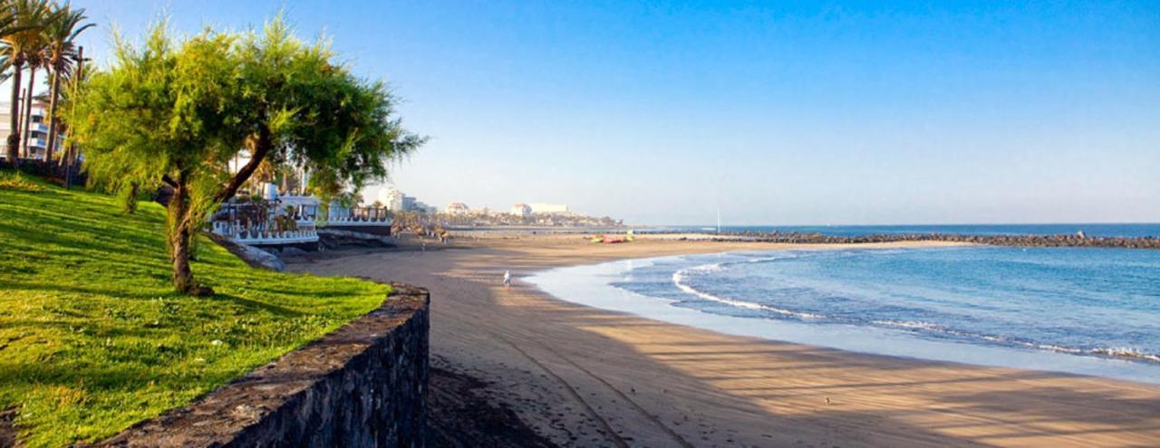 Triplex Young Fantasy