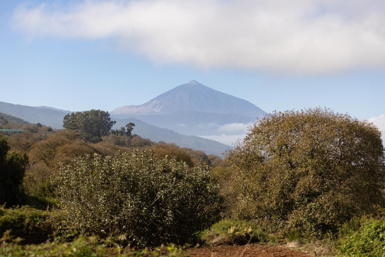 Home2book Casa Rural Suerte Del Pino 1