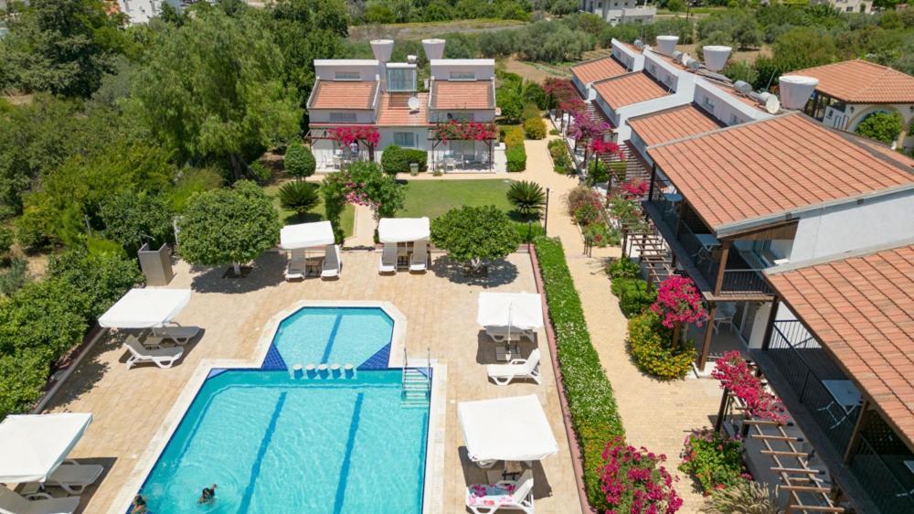 Citrus Tree Gardens 1