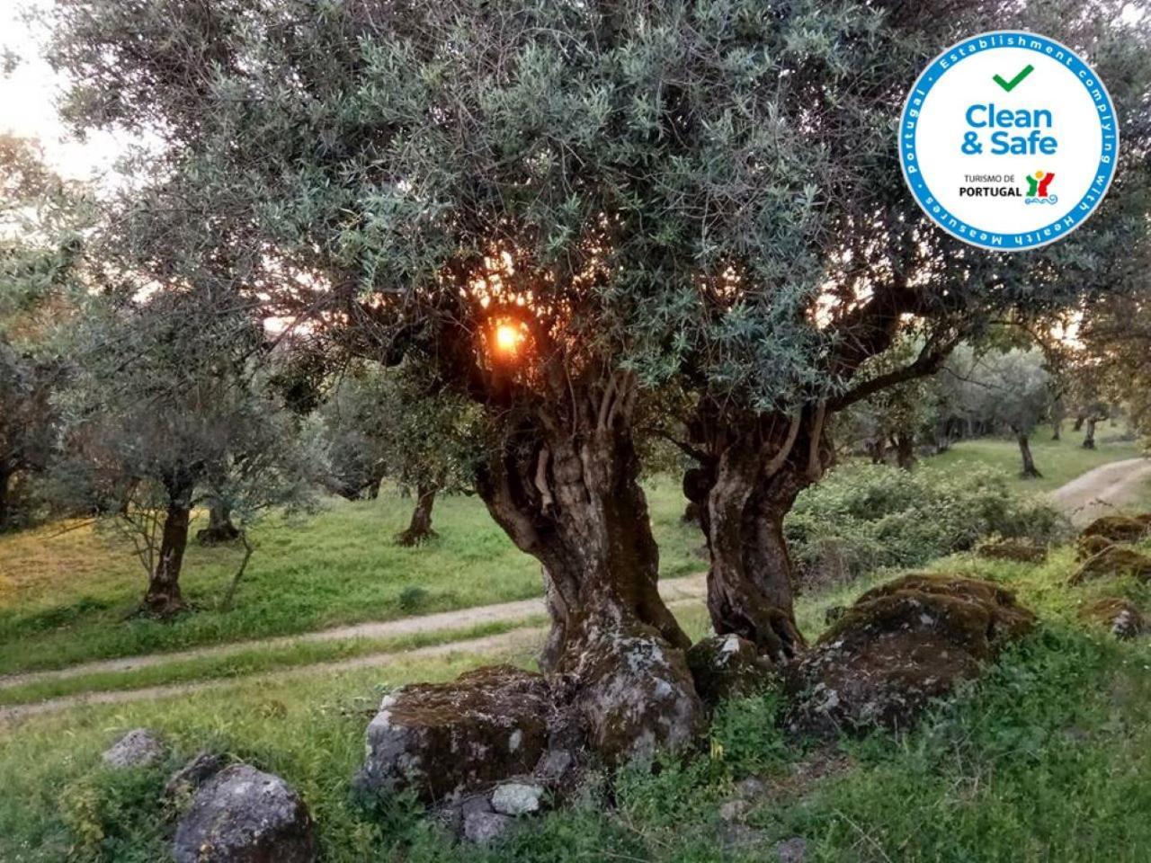 Convento Da Provenca 2