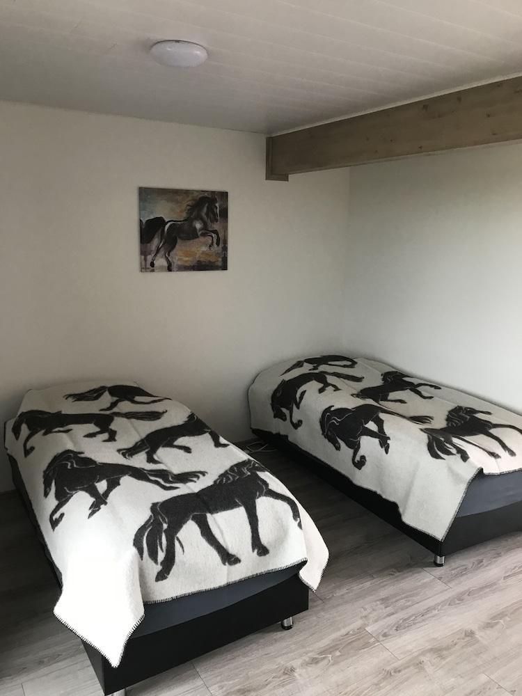 Solvangur Farm, Icelandic Horse Center 1