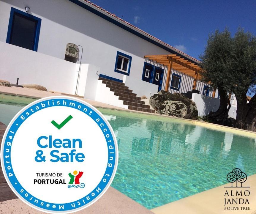 Almojanda 3 Olive Tree 2