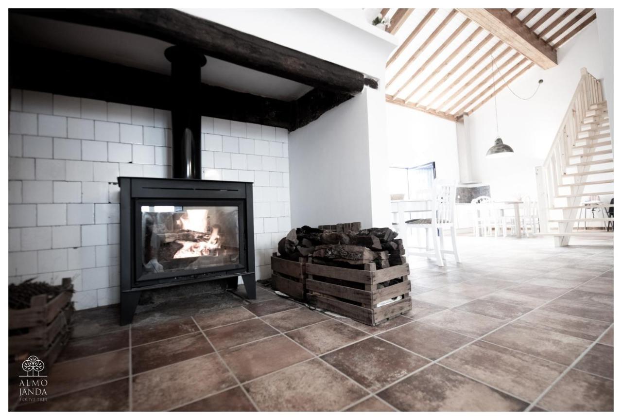 Almojanda 3 Olive Tree