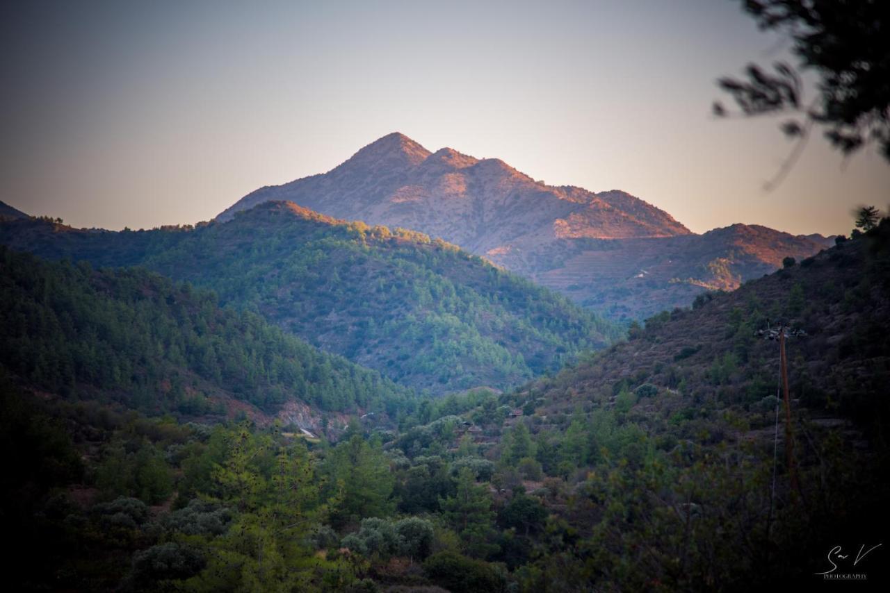 *2 Bdr Log House /Mountains/Queen Bed/Fireplace 1