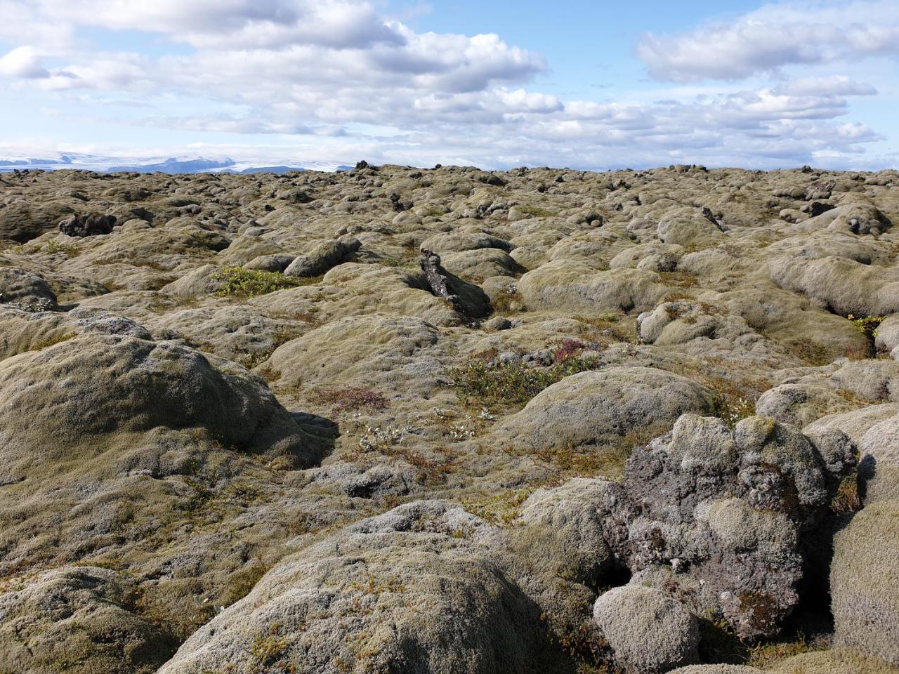 Arctic Exclusive Ranch 1