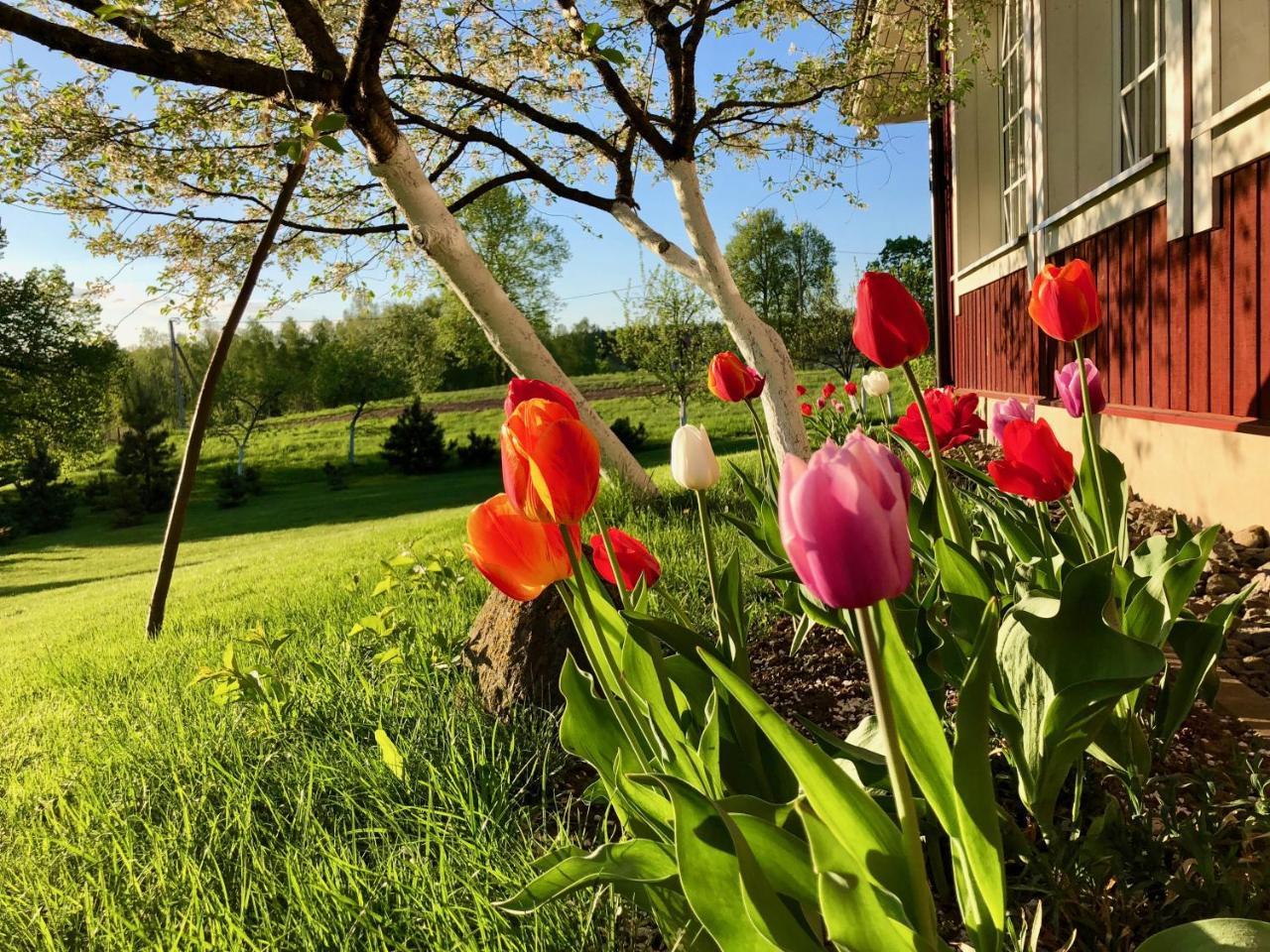 Villa Sofia Boutique Trakai 1