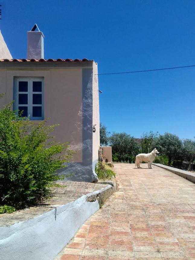 Linhal Das Meias - Sao Jose Das Matas (Adults Only) 2