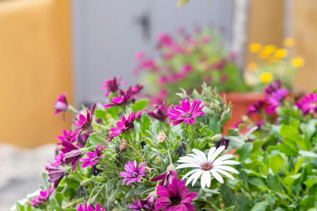 Canava House in Santorini 1