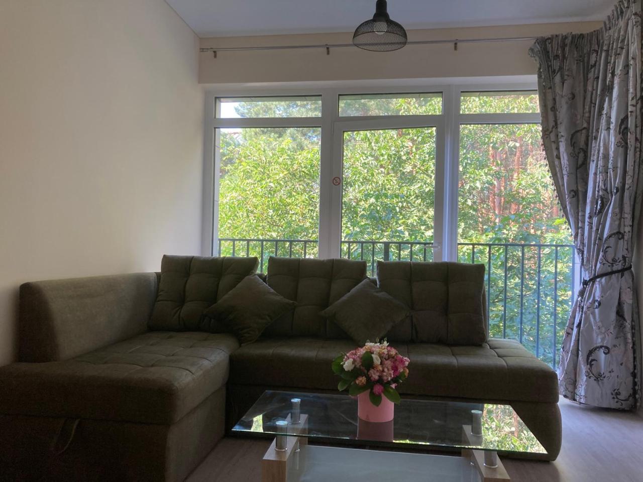 Lazdyneliu Apartamentai 2