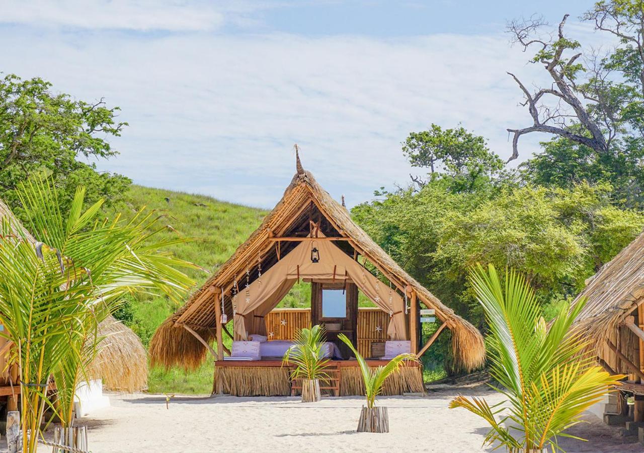 Le Pirate Island (Adults only) 2