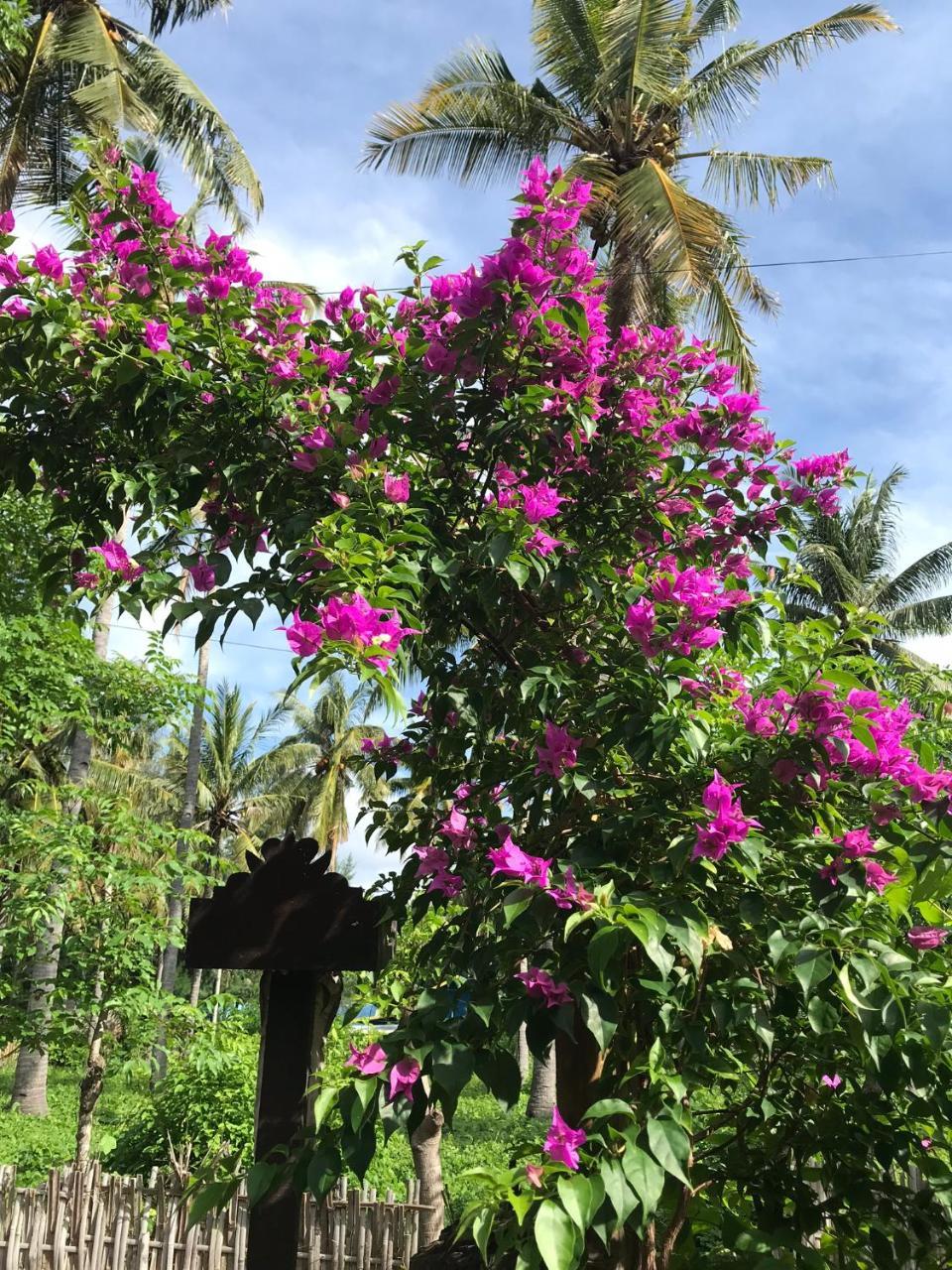 Meno Madia Bungalows 2