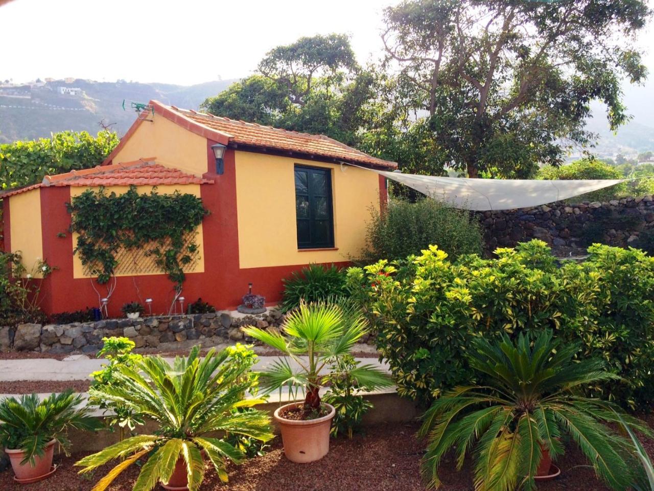 Finca la Plantacion _Agroturismo 1