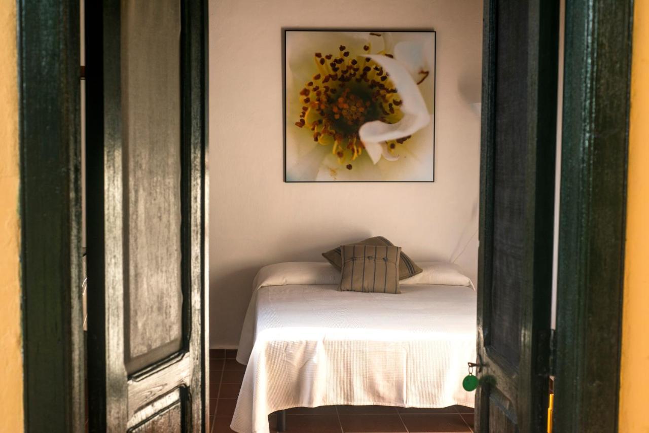 Finca la Plantacion _Agroturismo 2