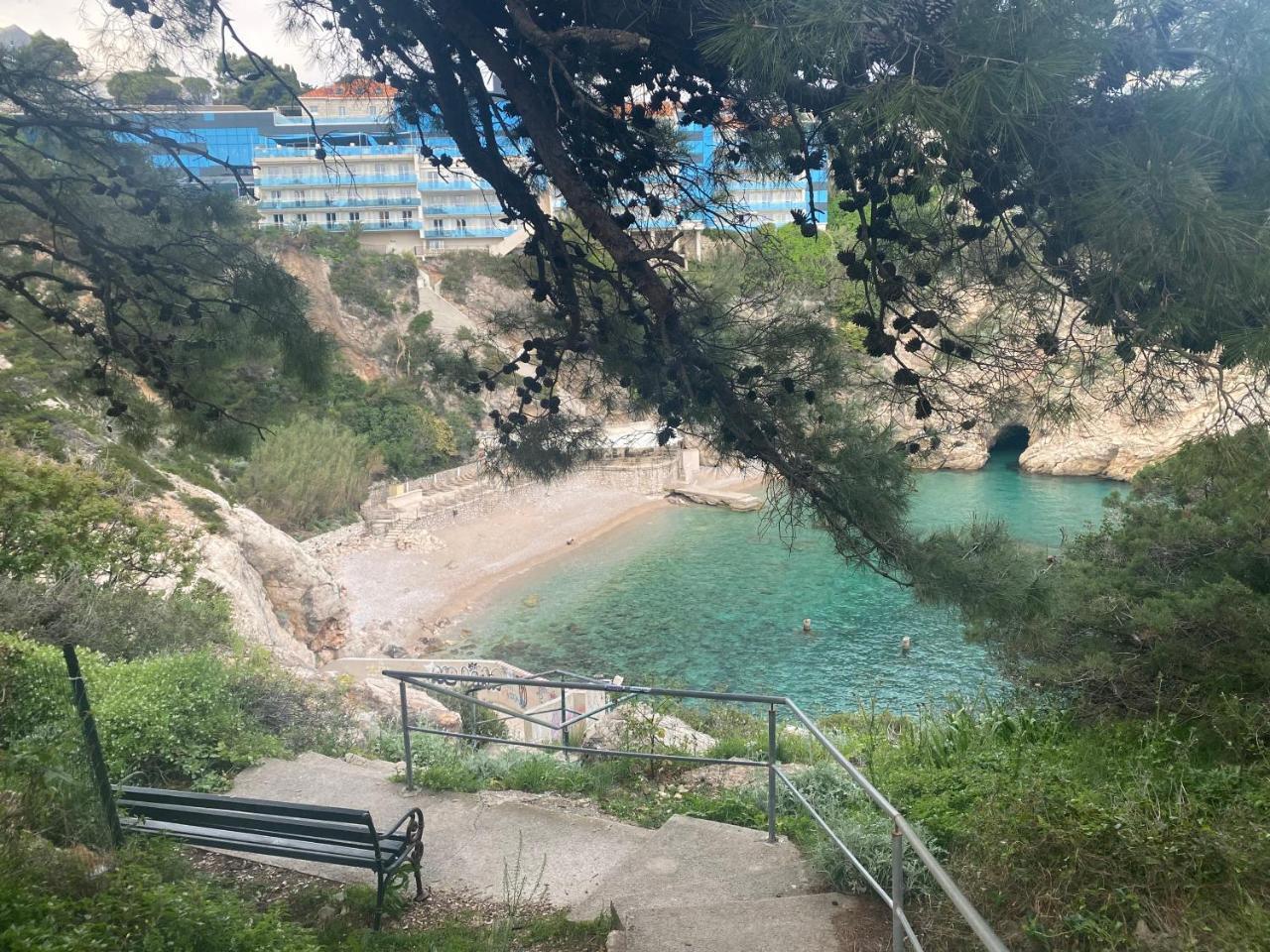 Le Jardin de Daniele 1