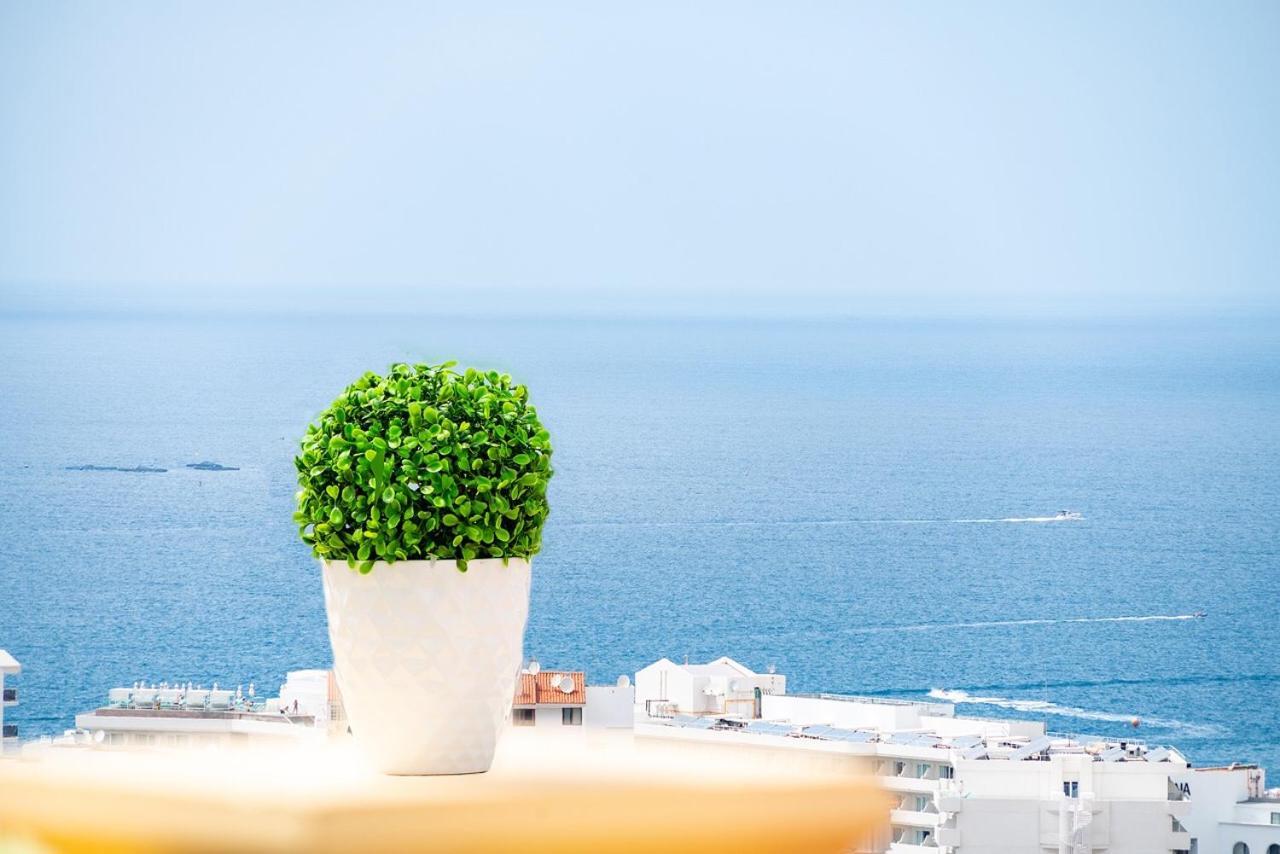 Windsor Panoramic las Americas 1