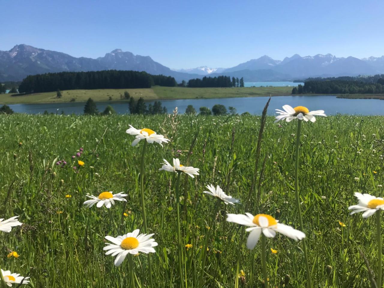 Ferienhaus Lieblingsplatz-Fussen - Stilvoll Urlauben & Wohnen 2