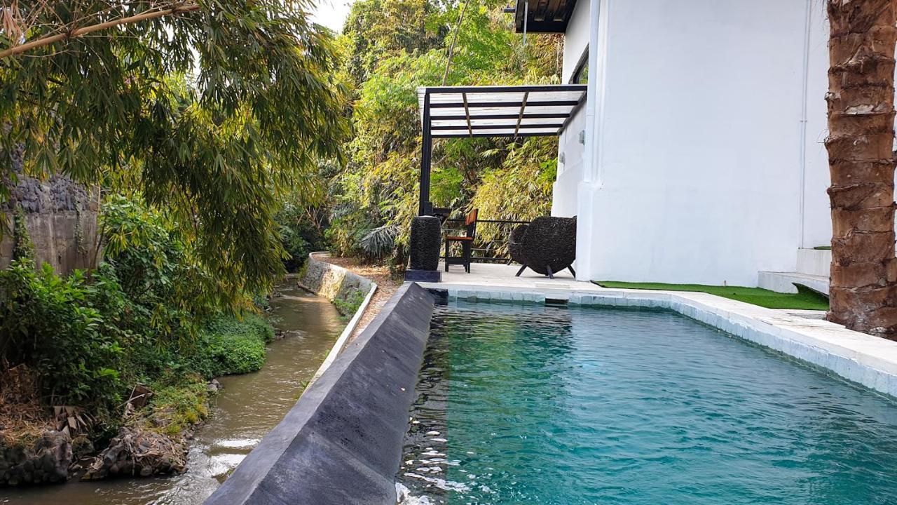 The Paica (Adults only)