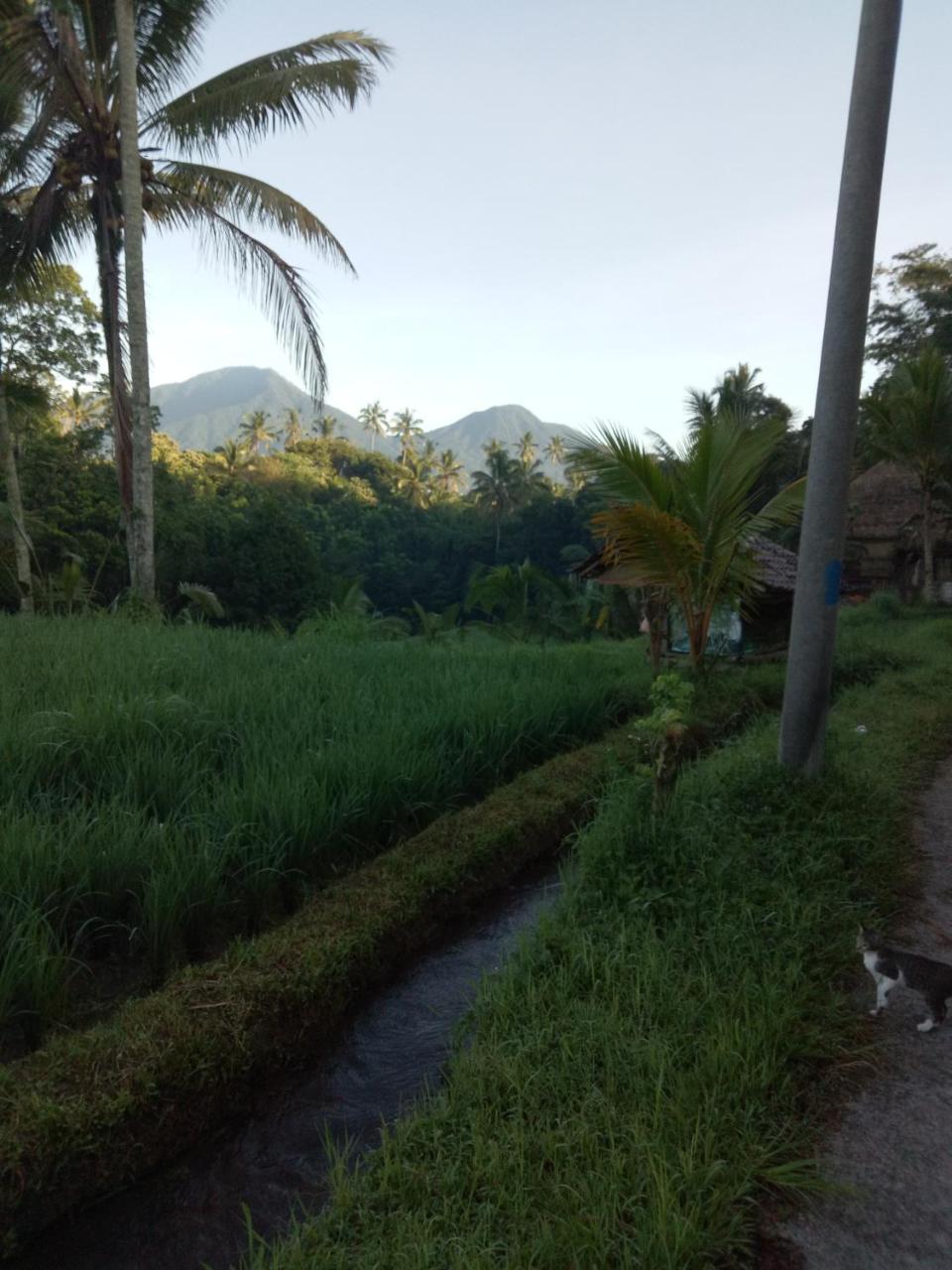 Babahan Farmstay 2