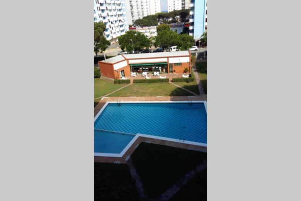 A Spacious Apartment with a Sea View